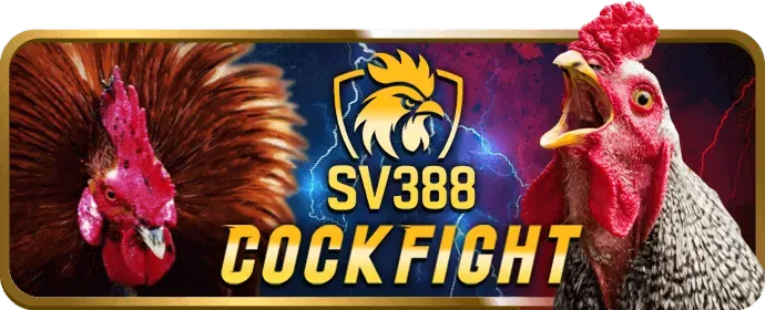 Cá cược bóng đá sb88 trực tuyến